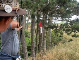IMG-20220710-WA0075