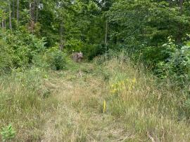 IMG-20220710-WA0090
