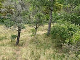 IMG-20220710-WA0108