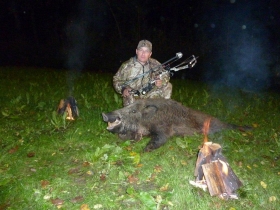 Bogenjagd Ungarn Wildschwein