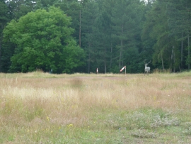 P1050548